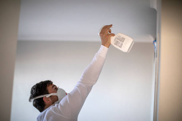 Best Water Damage Restoration  in Whitewright, TX