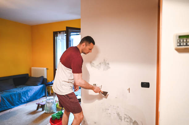 Best Black Mold Removal  in Whitewright, TX