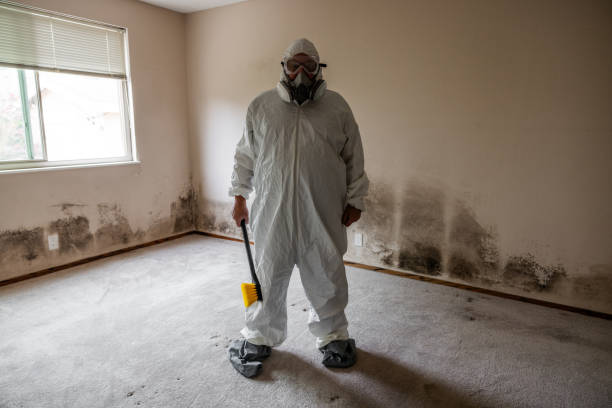 Best Crawl Space Mold Removal  in Whitewright, TX